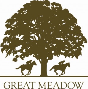 Cancelled - Great Meadow Public Night @ Great Meadow