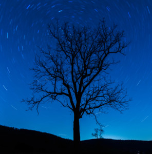 Sky Meadows State Park- Astronomy for Everyone @ Sky Meadows State Park- It's a Go!